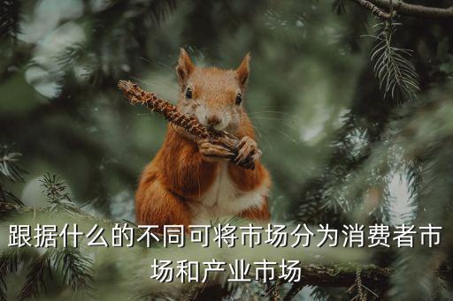跟據(jù)什么的不同可將市場分為消費(fèi)者市場和產(chǎn)業(yè)市場