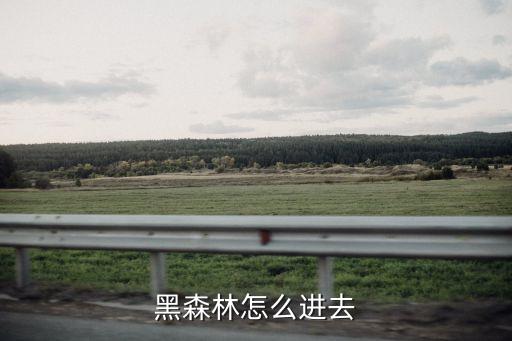 扒開黑森林，怎么進(jìn)黑森林