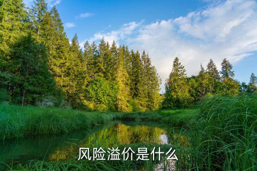 風(fēng)險(xiǎn)溢價(jià)，投資學(xué)與股市中 風(fēng)險(xiǎn)溢價(jià) 的意思是什么呀