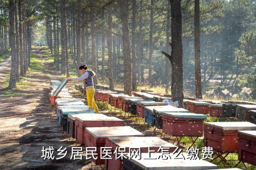 城鄉(xiāng)居民醫(yī)保網(wǎng)上怎么繳費