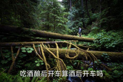 喝酒釀算酒駕嗎，早上吃了幾口酒釀開車會被認(rèn)定是酒駕嗎