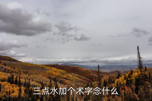 三點(diǎn)水術(shù)是什么字，三點(diǎn)水加術(shù)什么字