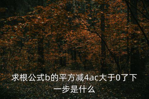求根公式b的平方減4ac大于0了下一步是什么