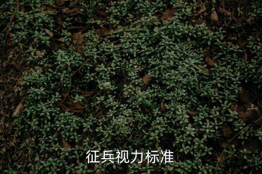 征兵視力標準