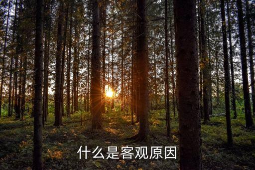 客觀原因，客觀原因?yàn)槟男┒饔^原因又是哪些請(qǐng)說(shuō)明一下ok