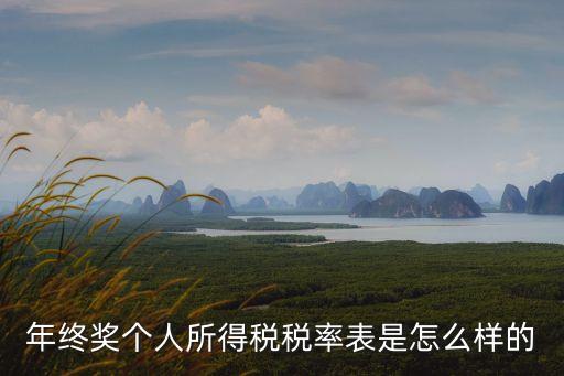 個(gè)稅年度稅率表，2020年個(gè)稅稅率是怎么規(guī)定的