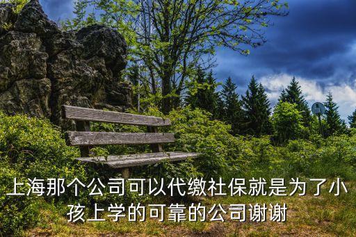上海代繳社保，上海哪里可以代繳社保五險(xiǎn)一金