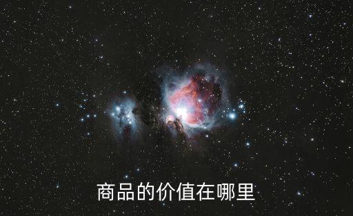 商品的價(jià)值在哪里
