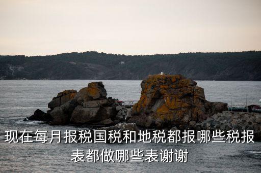 稅表，國(guó)稅增值稅主表附表是什么