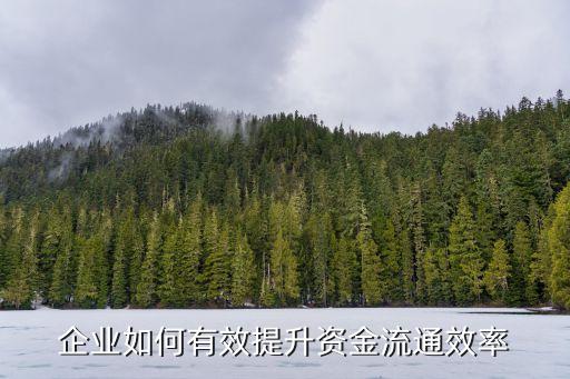 資金使用效率，資金利用率
