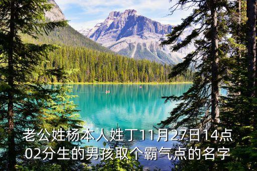 楊雄文，滿文翻譯楊雄文 翻譯成藏文或滿文兩個都要謝謝幫助我