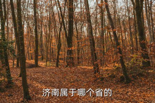 濟南市是哪個省，濟南市什么省的