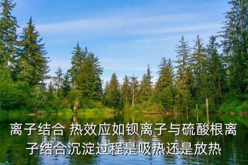 離子結(jié)合 熱效應(yīng)如鋇離子與硫酸根離子結(jié)合沉淀過程是吸熱還是放熱