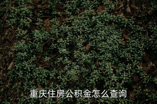 重慶住房公積金，重慶住房公積金怎么查詢