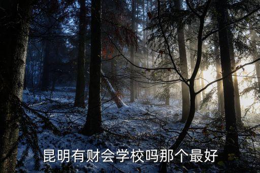 財會，昆明有財會學(xué)校嗎那個最好