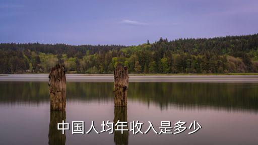 中國人均年收入是多少