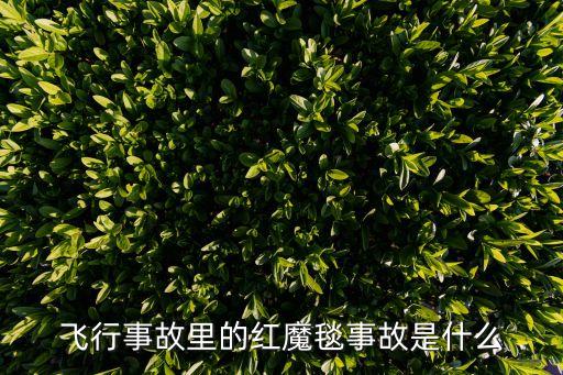 死亡碰撞航線，死亡碰撞航線好看嗎