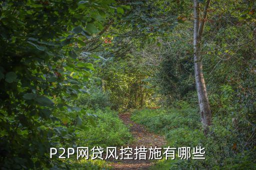 網(wǎng)貸風(fēng)控，貸款被風(fēng)控了怎么辦