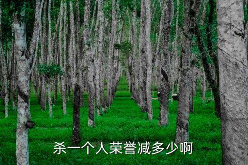 榮譽(yù)處決，大家如何看待榮譽(yù)處決