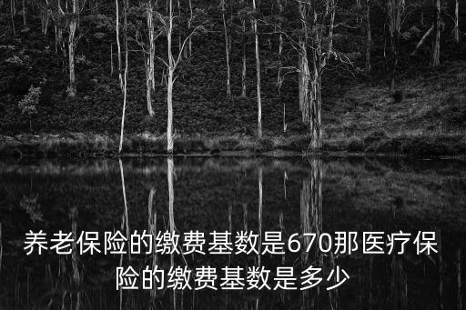 養(yǎng)老保險(xiǎn)的繳費(fèi)基數(shù)是670那醫(yī)療保險(xiǎn)的繳費(fèi)基數(shù)是多少