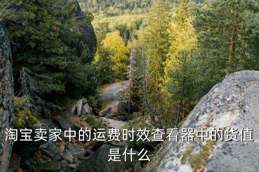 貨值是什么意思，淘寶賣家中的運(yùn)費(fèi)時效查看器中的貨值是什么