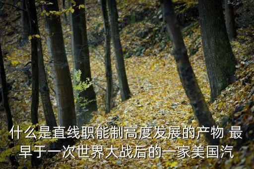 直線職能制，直線職能制論文1000字