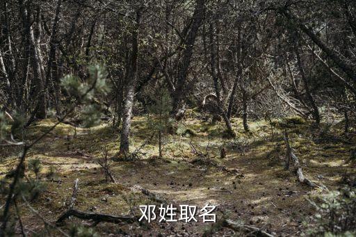 鄧悅，怎樣才能干掉鄧悅