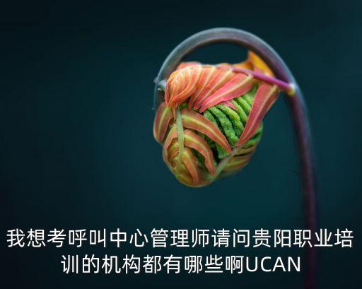 我想考呼叫中心管理師請(qǐng)問(wèn)貴陽(yáng)職業(yè)培訓(xùn)的機(jī)構(gòu)都有哪些啊UCAN