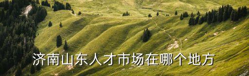 濟南人才市場，濟南正規(guī)的人才市場在哪里