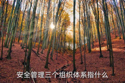 組織體系，安全管理三個(gè)組織體系指什么