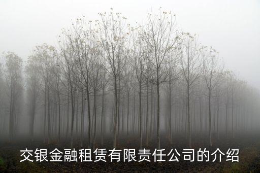 交銀金融租賃有限責(zé)任公司的介紹