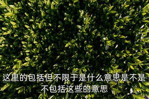 這里的包括但不限于是什么意思是不是不包括這些的意思