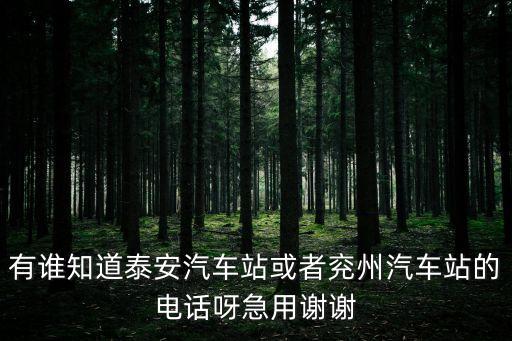 有誰(shuí)知道泰安汽車(chē)站或者兗州汽車(chē)站的電話呀急用謝謝