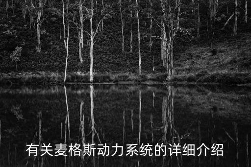 ambers系統(tǒng)，麥克斯動力系統(tǒng)是什么