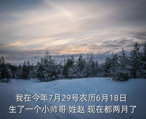 趙文哲，我在今年7月29號農(nóng)歷6月18日 生了一個小帥哥 姓趙 現(xiàn)在都兩月了