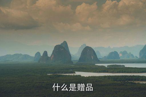 贈品，什么是贈品