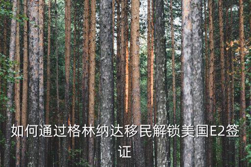 如何通過格林納達移民解鎖美國E2簽證