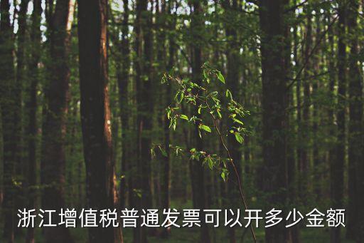 浙江增值稅普通發(fā)票可以開多少金額