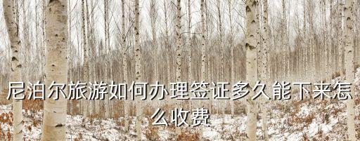 尼泊爾旅游如何辦理簽證多久能下來怎么收費(fèi)