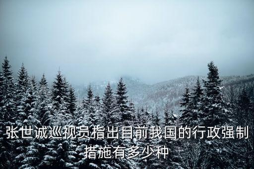 張世誠，萍蹤俠影這部電腦劇怎么樣啊值得看嗎