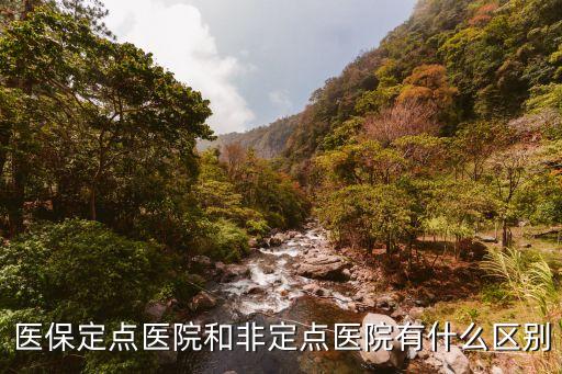定點醫(yī)保，定點醫(yī)保的作用