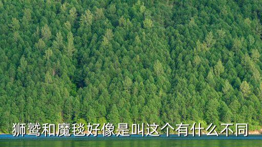 滑雪場(chǎng)魔毯是什么，滑雪場(chǎng)供人上坡的叫什么