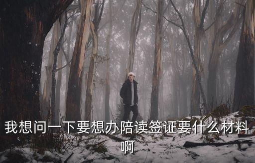 我想問一下要想辦陪讀簽證要什么材料啊