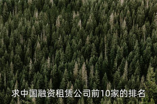 民生金融租賃，畢馬威 和 民生金融租賃 你去哪個