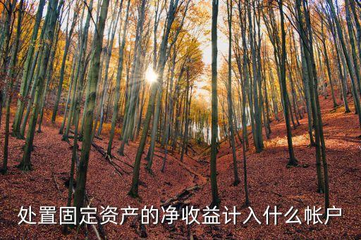 處置固定資產(chǎn)的凈收益計(jì)入什么帳戶