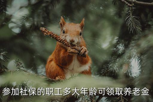 參加社保的職工多大年齡可領(lǐng)取養(yǎng)老金