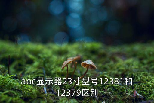 aoc顯示器23寸型號(hào)12381和12379區(qū)別