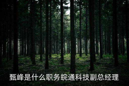 甄峰，給孩子起名