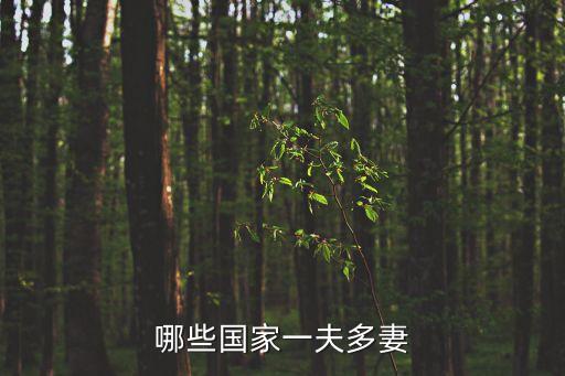 一夫多妻，什么是一夫多妻制