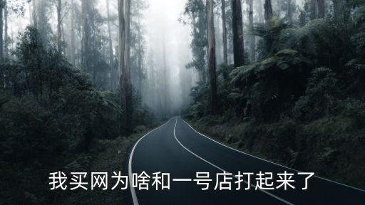 我買網(wǎng)為啥和一號(hào)店打起來(lái)了